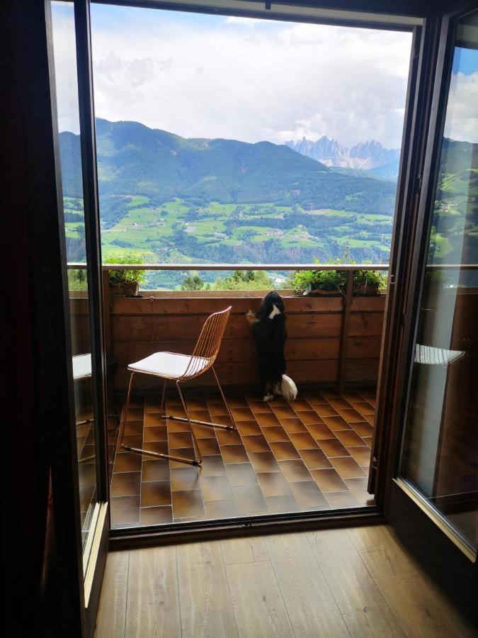 Biogasthaus Plonerhof Bressanone Dış mekan fotoğraf